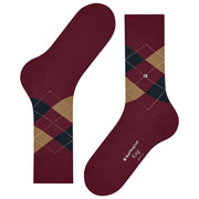 Calcetines Burlington King - Rojo/Marrón/Azul