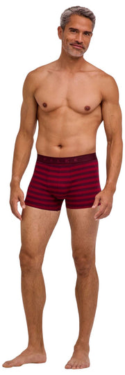 Calzoncillo bóxer Falke Daily Comfort a rayas - Borgoña